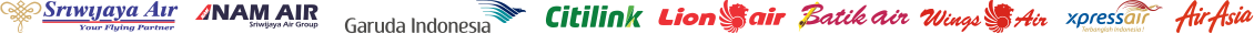 Logo Maskapai